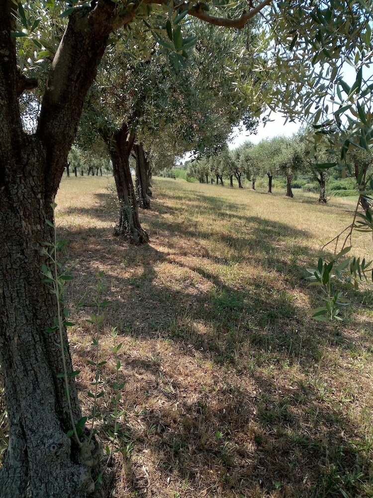 Agroturismo I Girasoli Di Lari