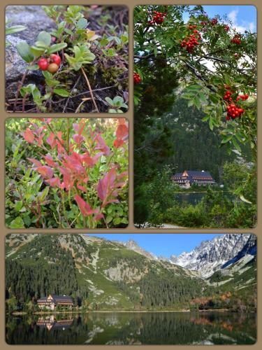Horsky Hotel Popradske Pleso