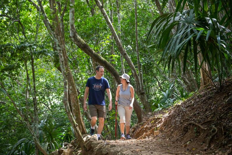 Hotel Belize Rainforest Retreat At Chaa Creek