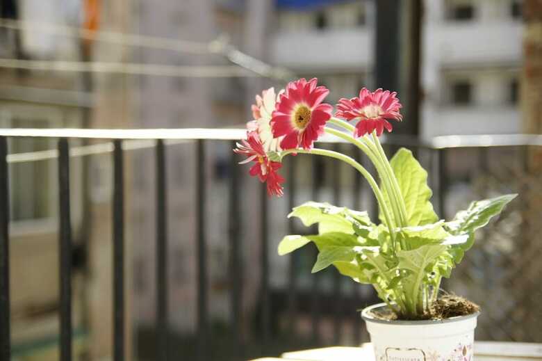 Apartamentos Suite Place Barcelona Diputaci�
