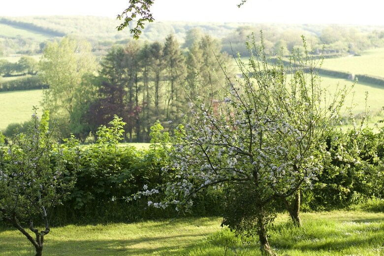 Bed & Breakfast Holwell Holistic Retreat - Adults Only