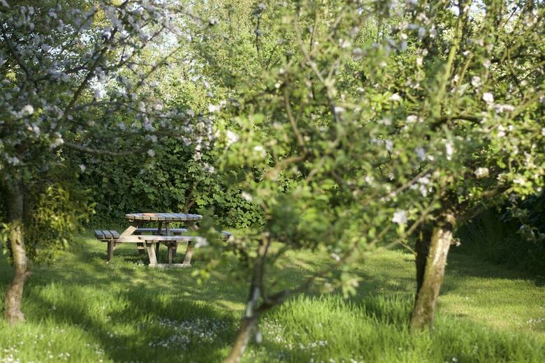 Bed & Breakfast Holwell Holistic Retreat - Adults Only