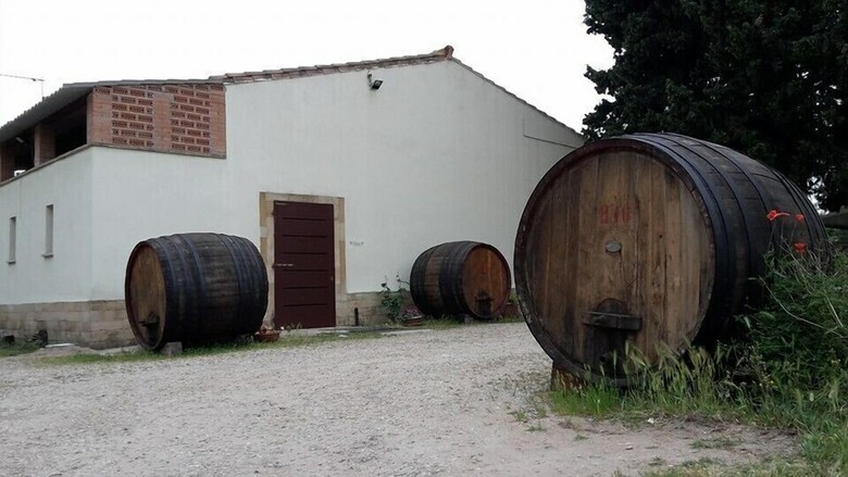 Agroturismo Agriturismo S'anea