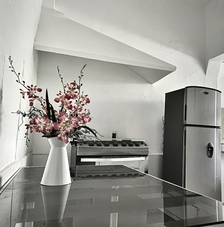 Apartamentos Casa Boutique "selina"