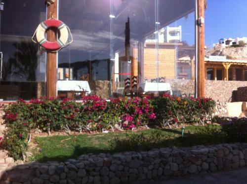 Apartamentos Sharks Bay Oasis