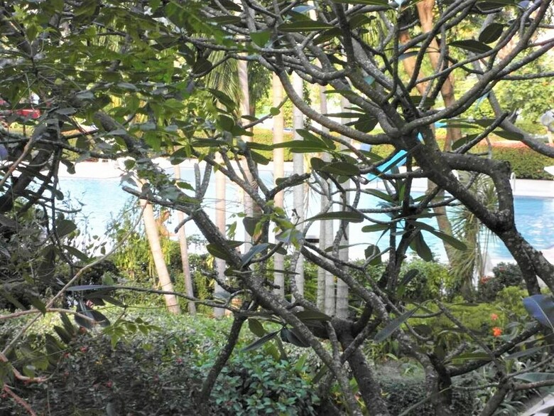 Residencia Large Studio Baan Suan Lalana