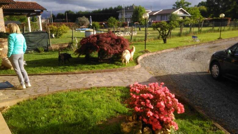 Gli Angeli B&B