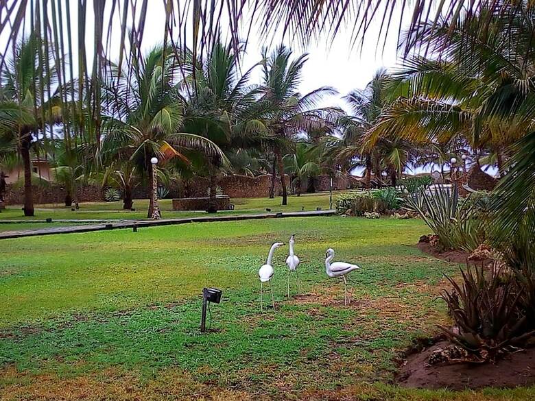 Hotel Ocean Beach Resort & Spa