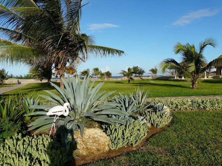 Hotel Ocean Beach Resort & Spa