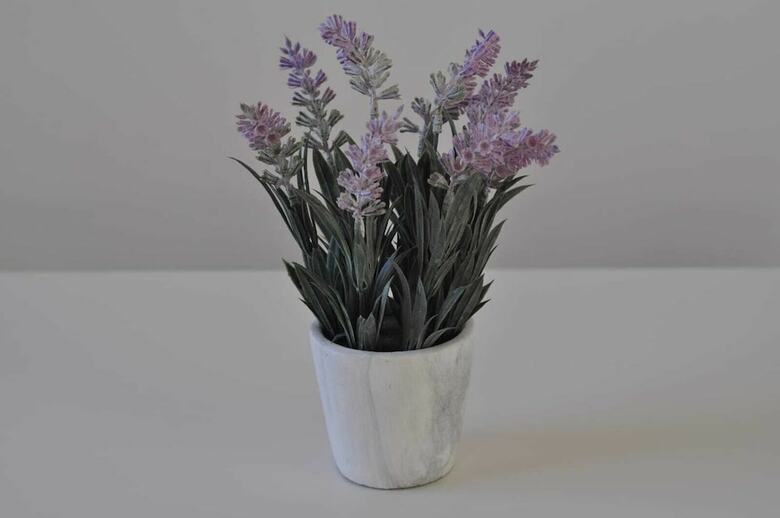 The Windsor Garden Apartment