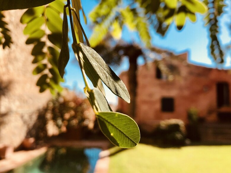 Casa Historica Al Lado Del Mar