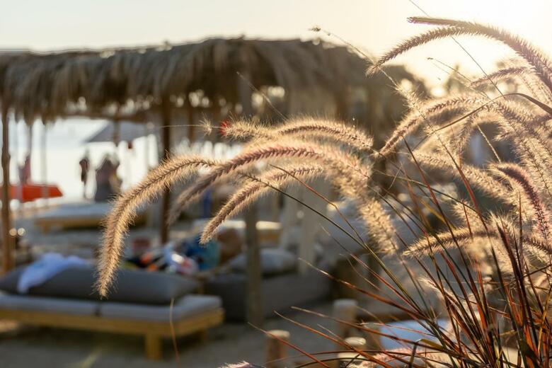 Hotel Fort Arabesque Resort, Spa & Villas