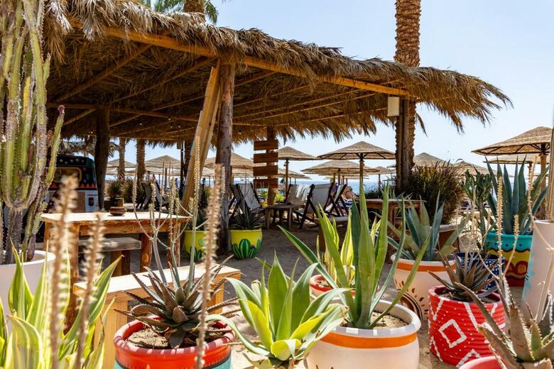 Hotel Fort Arabesque Resort, Spa & Villas