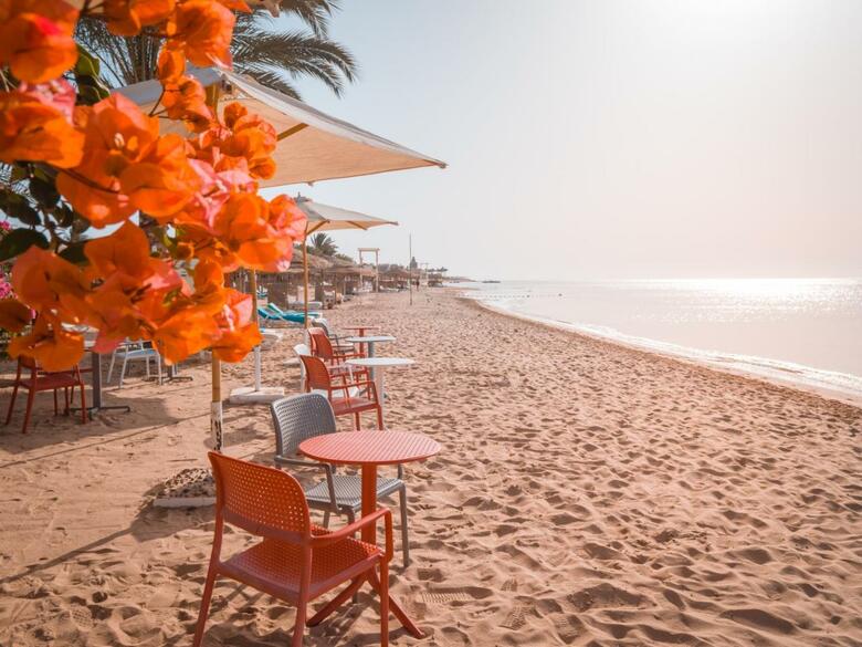 Hotel Fort Arabesque Resort, Spa & Villas