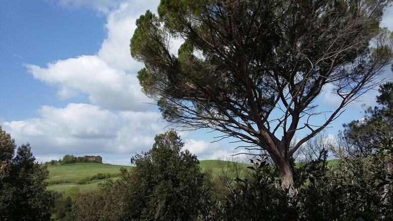 Agroturismo Agriturismo Alle Rose