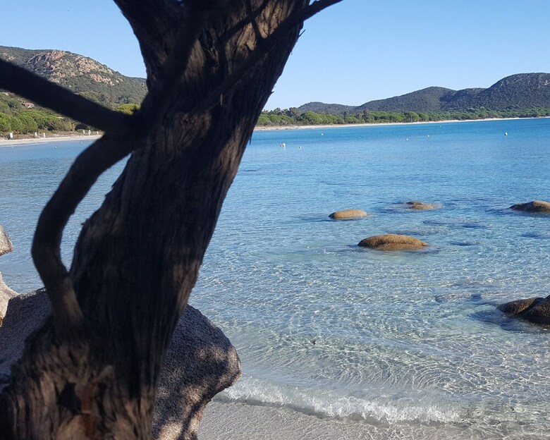 Rocca Rossa Locations G�tes Palombaggia