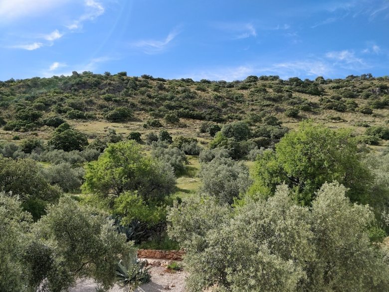Agroturismo Hilltop Hideaway
