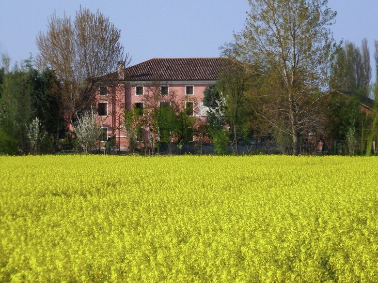 Agroturismo Cozy Farmhouse In Veneto With Shared Pool
