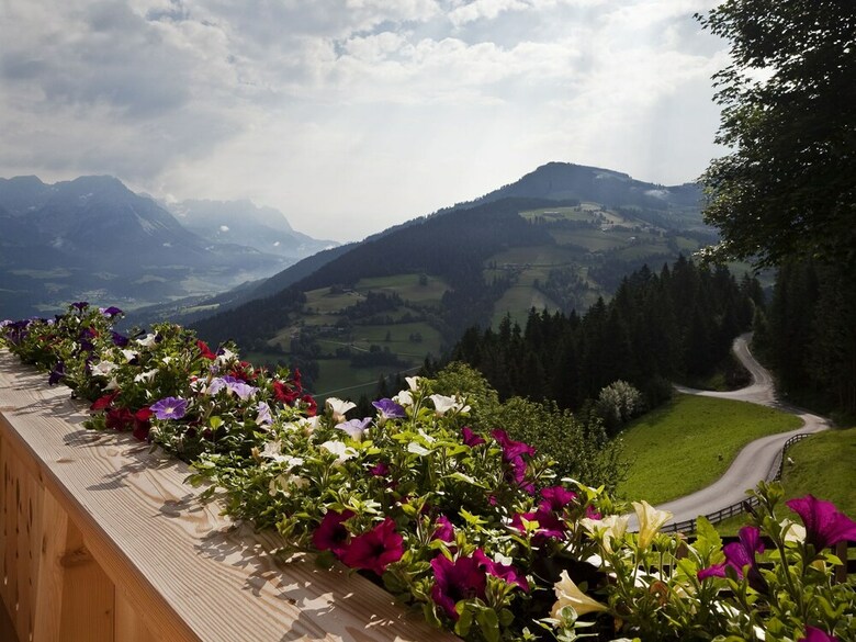 Luxurious Mansion In S�ll Near Forest