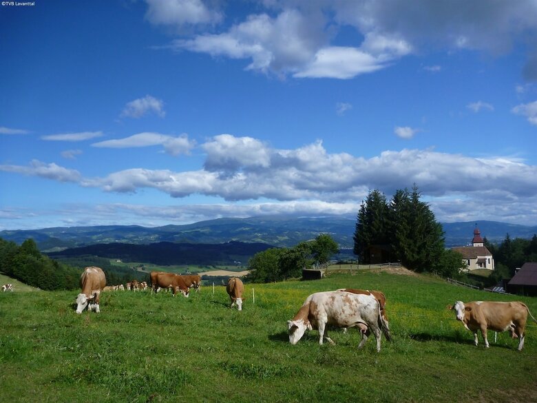 Comfortable Holiday Home With Sauna In Sankt Stefan