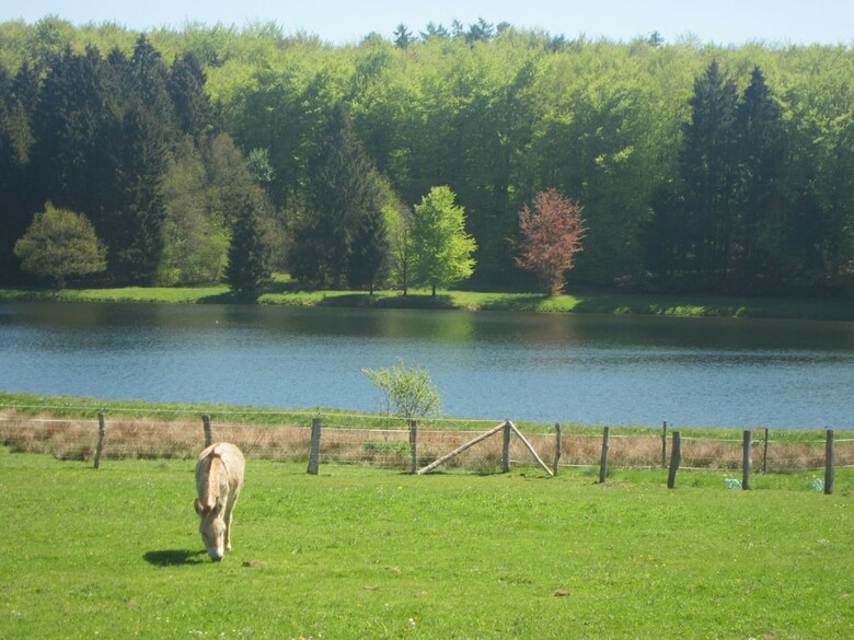 Luxury Pet-friendly Chalet In Bi�vre Near Forest