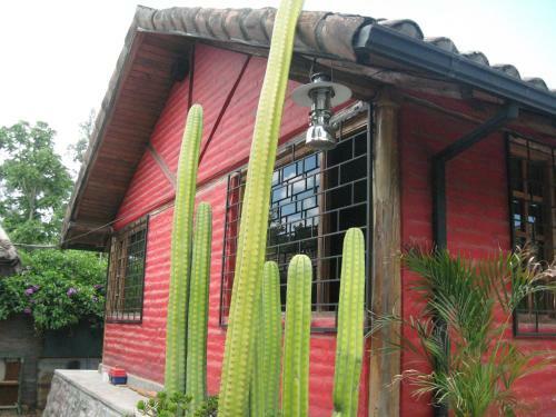 Arie's Cabin