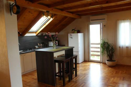 Apartment Ru?ica