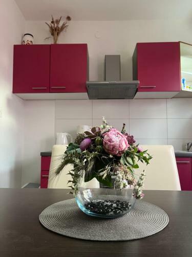 Apartment Ru?ica