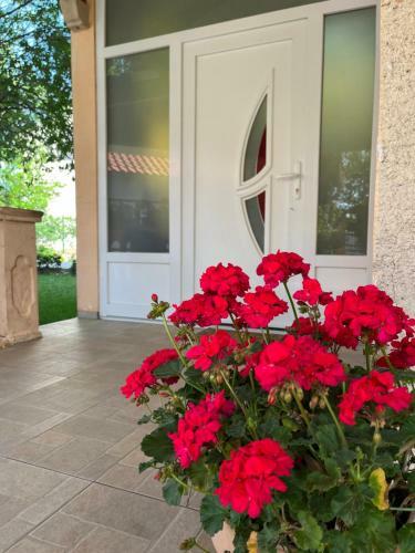 Apartment Ru?ica
