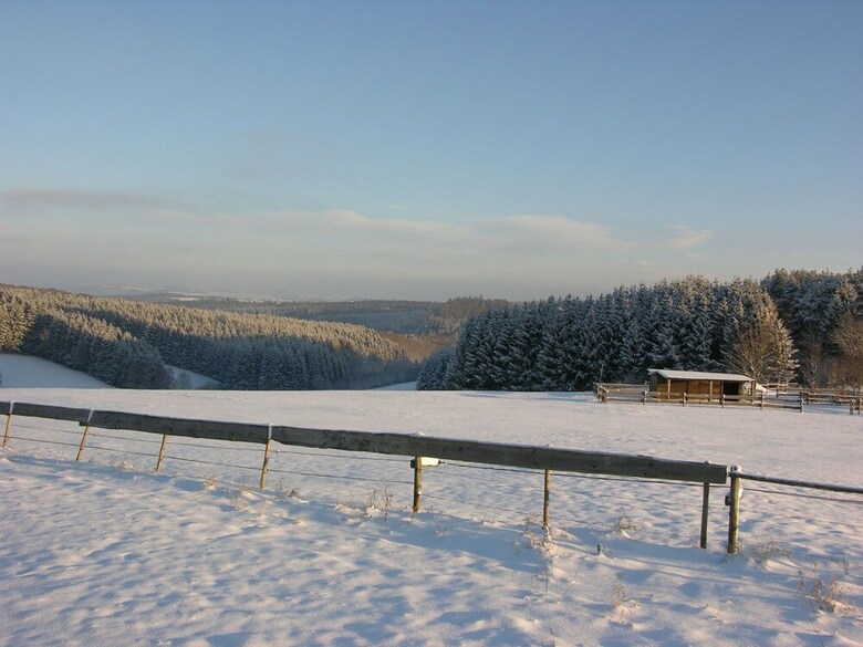 Gorgeous Holiday Home In Bodenbach Eifel With Garden
