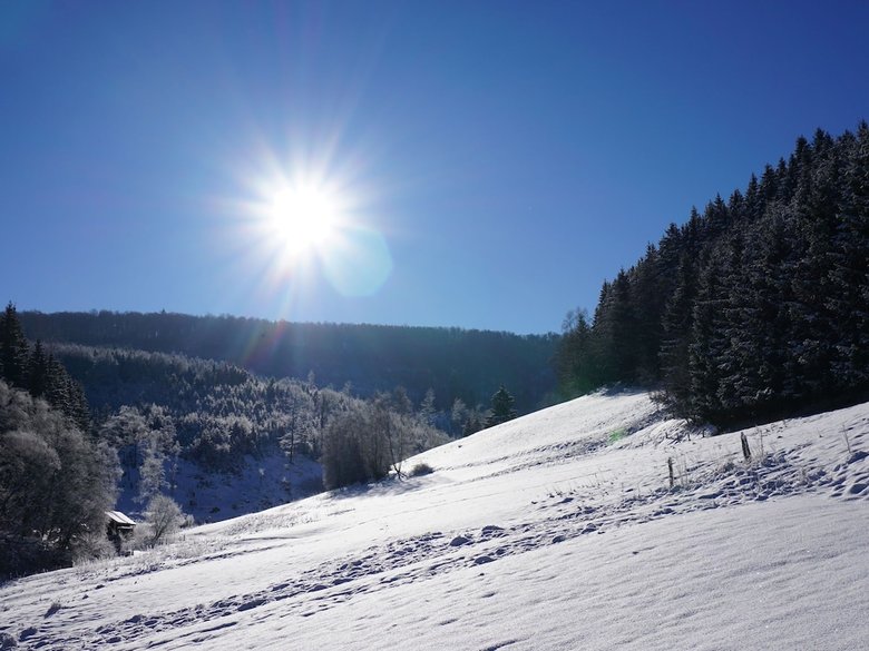 Exclusive Group House In Winterberg With Common Room, Bar And Large Kitchen