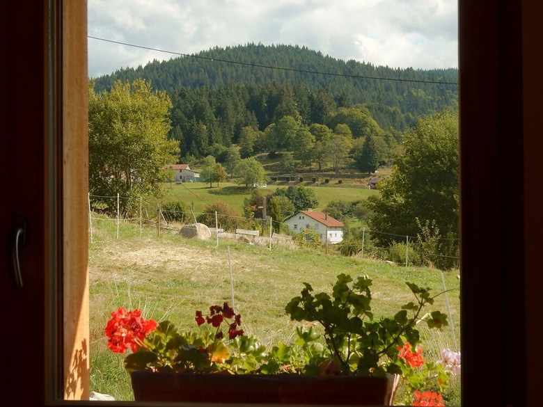 Sunlit Chalet Near Ski Area In G�rardmer