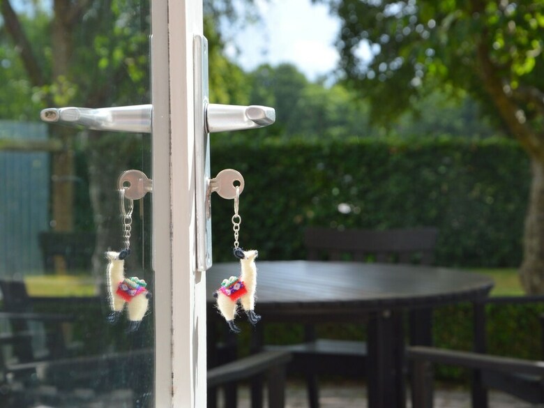 Decorative Holiday Home In Vorstenbosch On Alpaca Farm