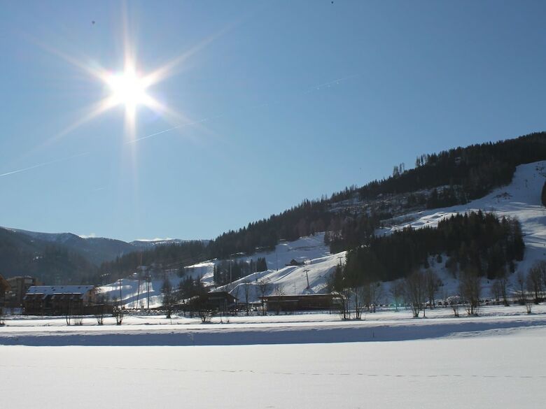 Luxurious Holiday Home In Stadl An Der Mur With Jacuzzi