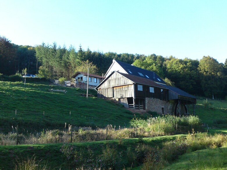 Comfortable Apartment In Meisburg Eifel Near Watermill