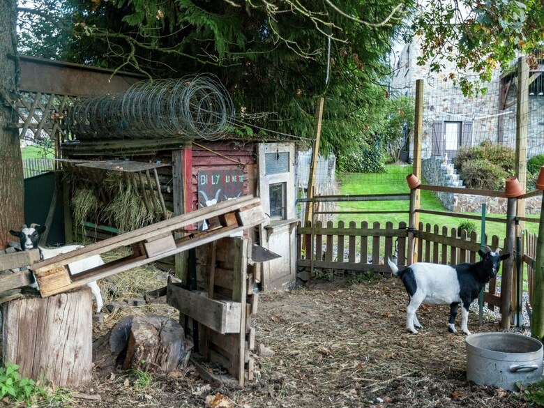 Luring Holiday Home In Malmedy With Terrace