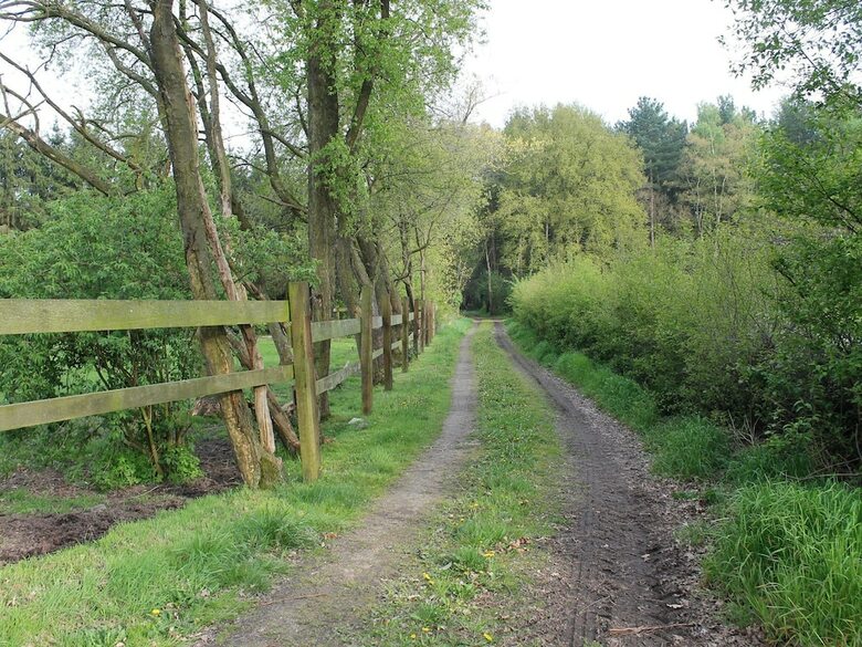 Spacious Holiday Home Near Forest In Peer