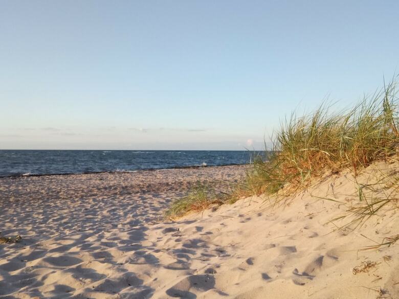 Cozy Holiday Home In Gro� Schwansee With Sauna