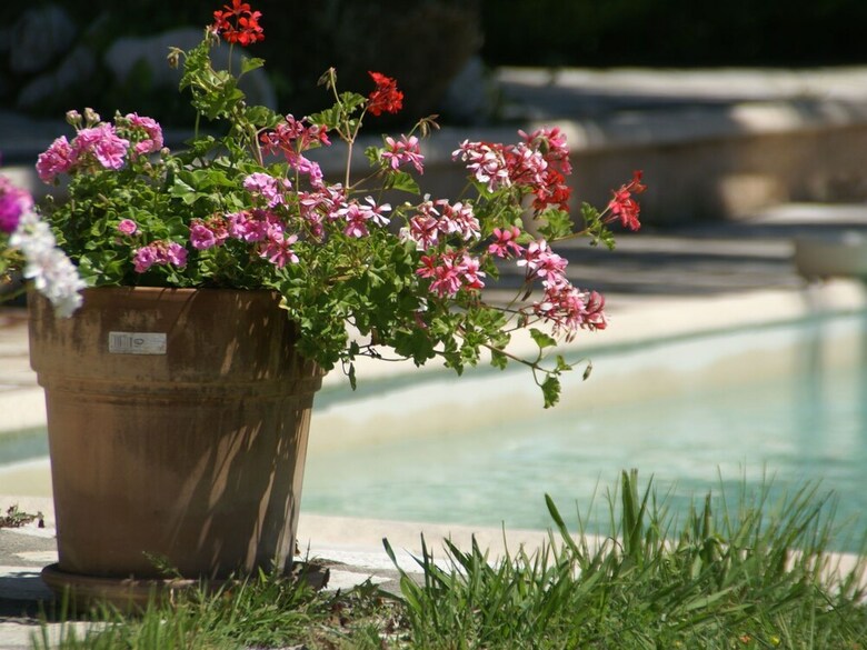 Charming Villa In Vence With Swimming Pool