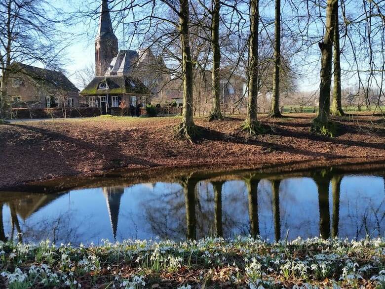 Ranquil Holiday Home In Bronckhorst Near Forest"