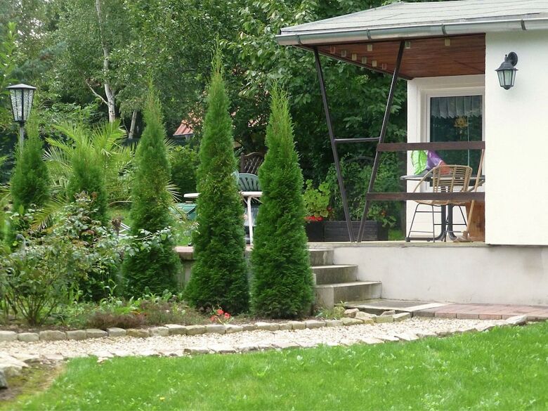 Cosy Holiday Home In Thale With Terrace And Sweeping Grounds
