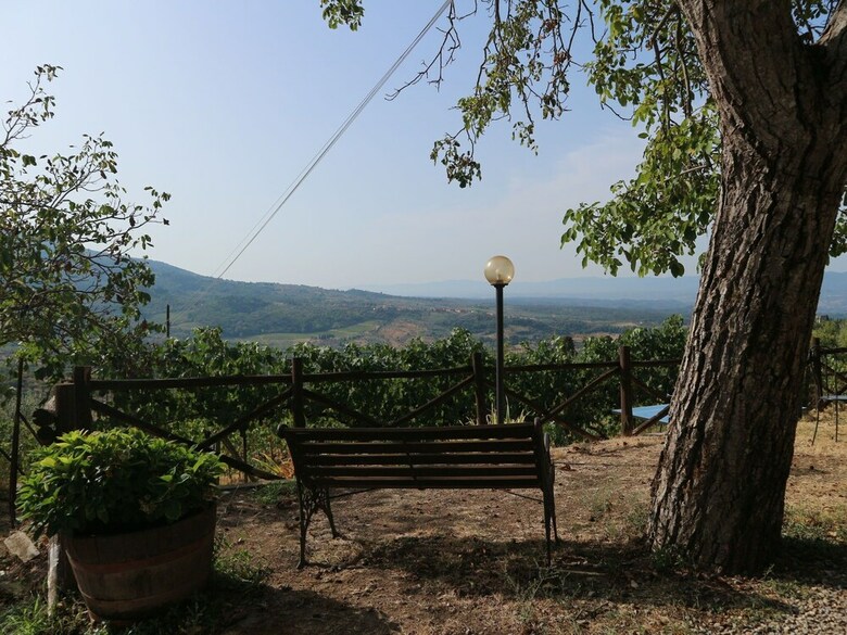Premium Holiday Home In Pelago With Swimming Pool