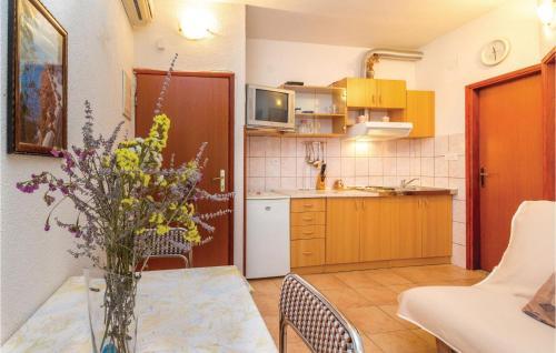 Apartment Miletici Gaj Bb IV