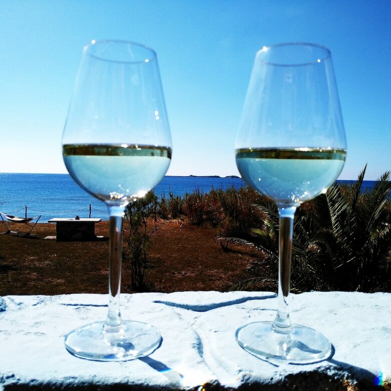 Alekos Beach Houses-caretta