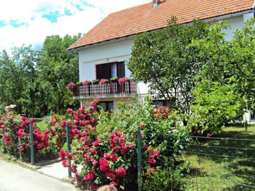Apartments Ivona