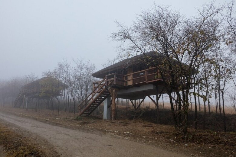 Agroturismo Ferma Dacilor