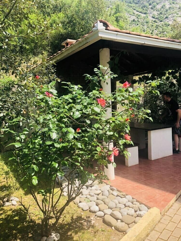 Apartamentos Green Village Kotor