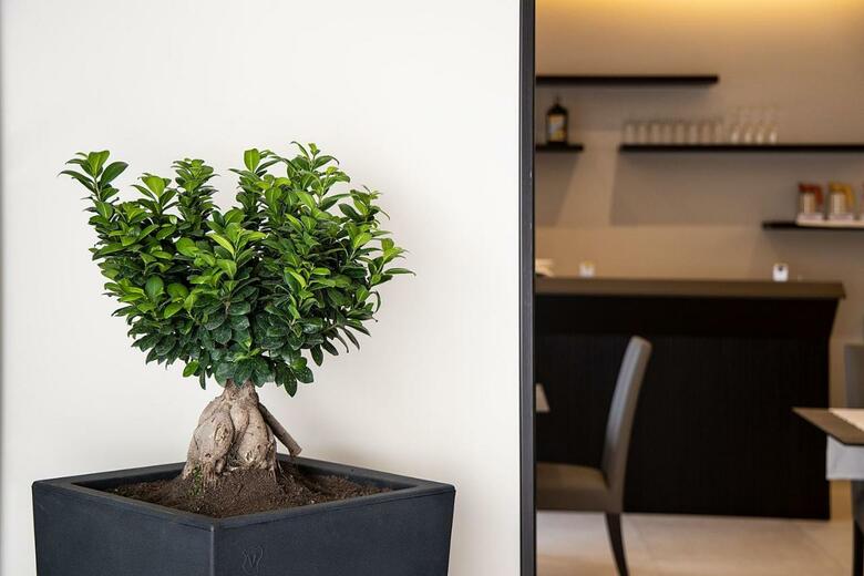 Palazzo Argenta, Sure Hotel Collection By Best Western
