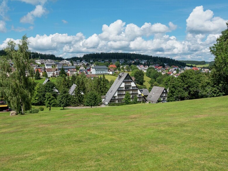 Charming Apartment In Sch�nwald Im Schwarzwald With Sauna