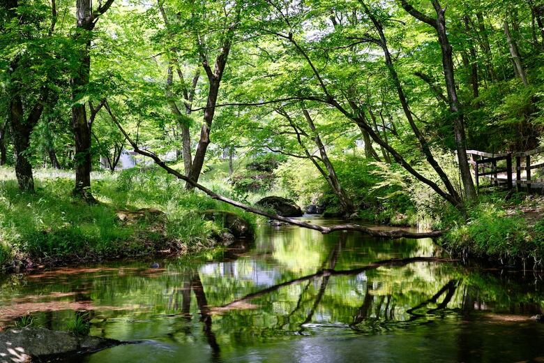 Hotel Hoshino Resorts Risonare Nasu